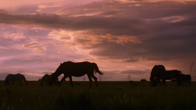 Horses graze in an open field during sunset. Elephants walk gently in the background. The sky changes color as night approaches. Wildlife is active before dark sets in.