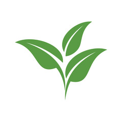 Obraz premium Minimalist leaf logo vector with clean lines and natural shape, symbolizing eco, sustainability, growth, and organic concepts, isolated on white background.