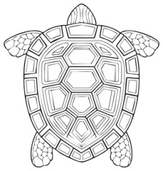 Obraz premium Detailed Line Art Illustration of a Sea Turtle Shell and Flippers