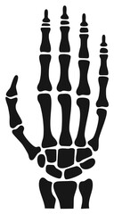 Fototapeta premium Human Hand Skeleton Anatomical Medical Illustration Bones Fingers Palm Wrist Healthcare Symbol
