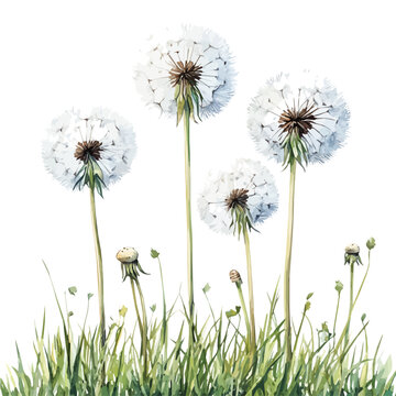 Summer Breeze, vector clipart in watercolor with smooth gradients, isolated on a white background.