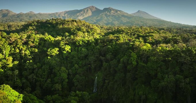 Mountain Rinjani and tall waterfall cascading through lush green tropical rainforest, dense jungle forest in Senaru, Lombok, Indonesia. Wild nature landscape under blue sky. Aerial drone view panorama