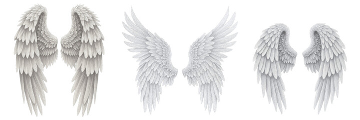 Obraz premium Archangel wings with layered feathers isolated on white background, powerful angel wings symbol of strength, divinity and protection, detailed fantasy archangel wings for mythology, religion and spiri