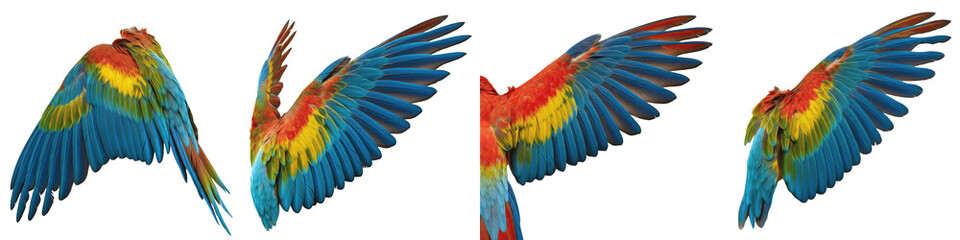 Fototapeta premium Scarlet Macaw Bird Flight Sequence, Large Vibrant Red Blue and Yellow Feathers Wings Spread in Motion, Isolated on White Background PNG, Ara Macao Wing Action Study Set