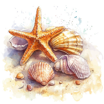Starfish And Beach Shells, clipart watercolor vector, isolated on a white background.