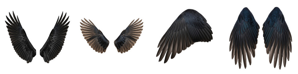 Western Jackdaw Bird Flying Sequence, Black and Grey Feathers Wings Spread, Isolated on White Background PNG, Bird Wings Motion Study, Corvus Monedula Flight Element Cutout Set