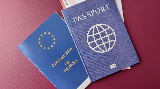 A pet passport is a document with vaccination and travel information for a cat, dog, or other animal. A pet passport as a background for your design.