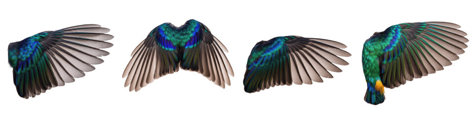 Realistic Common Kingfisher and Exotic Bird Wing Collection Featuring Iridescent Azure and Emerald Plumage Isolated on White Background PNG Mockup
