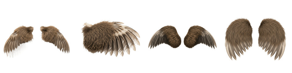 Realistic Owl Wing Collection Featuring Detailed Brown Mottled Plumage and Dynamic Postures Isolated on White Background PNG Mockup