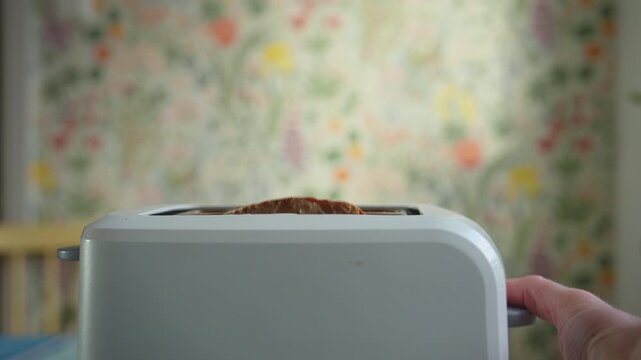 Starting Toaster With Bread Slices