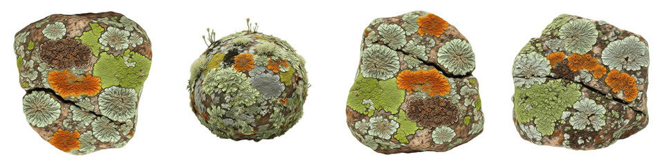 Mossy Lichen Covered Rocks PNG, Green and Orange Crustose Lichen on Natural Gray Stone Boulders,...