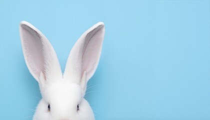 Obraz premium White rabbit ears on a light blue background with copy space. Easter minimalism. 