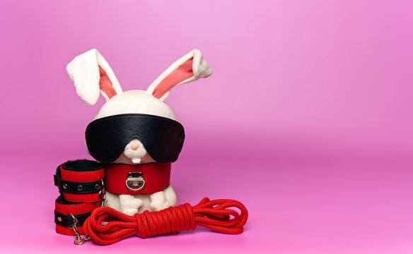 Rabbit in a bdsm costume, a Valentine's Day gift. Concept for a sex shop, creative advertising.