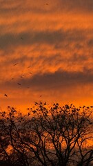 Obraz premium Sunset Glow Above a Forest Canopy Silhouette