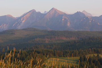 Słoneczna jesień na Przełęczy Łapszanka – krystalicznie czysty widok na Tatry Bielskie i kolorowe drzewa © W Podróży do Chmur
