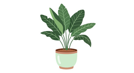 Obraz premium Illustration of a potted plant with large green leaves in a pot viewed from the side