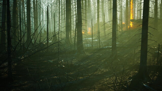 Silhouetted trees rise from the misty forest floor as faint orange lights flicker in the background, hinting at a hidden fire. The atmosphere is thick with mystery at twilight.
