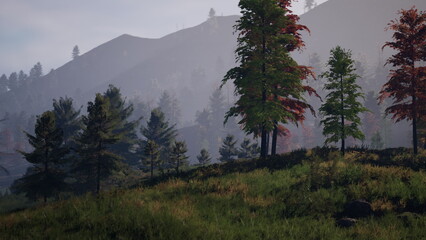 Sunlight gently filters through the trees as fog drapes over a peaceful forest. Vivid greenery contrasts with rust colored leaves, creating a magical atmosphere in the serene hills.