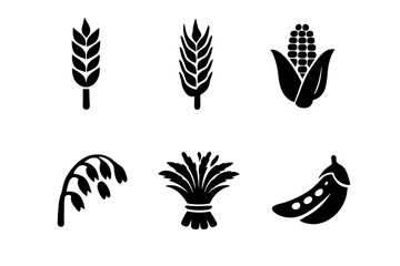 Fototapeta premium Grain Harvest Icons. Solid vector icons of grains and harvest: wheat stalk, barley, corn cob, oat, rice bundle, seed pod No text,