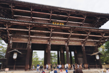 Nara, Japan, Nara Park landscape, Nara city view with buddhist temples and shinto shrines, Nara prefecture, Kansai, Japan, travel to Japan