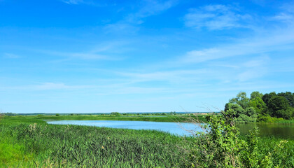 View of river with green trees and plants under clear blue sky.