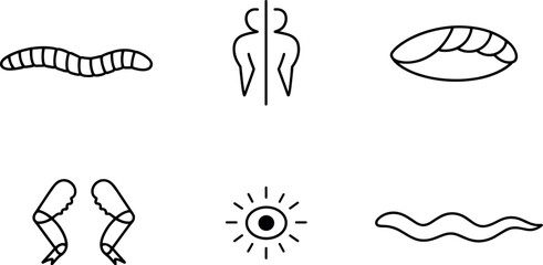 Fototapeta premium Emerging Body Plans. Line style icons of emerging body plans: segmented form, bilateral symmetry icon, primitive shell plate,