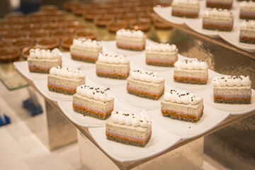 Assorted sweet pastries arranged on a serving tray, featuring a variety of desserts with creamy fillings and decorative toppings. Delicious baked treats presented for dessert, celebration, or caf&eacute; dis