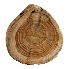 Obraz premium Natural Wood Log Slice Isolated on Transparent Background