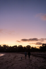 Fototapeta premium A couple walking with their dog at sunset along a beach