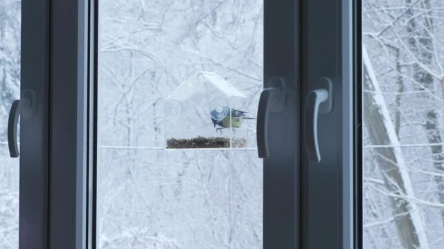 A titmouse approaches a transparent feeder on a window, snowy branches in the background. Soft muted palette creates a serene winter stillness.