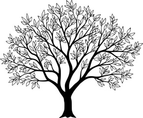Fototapeta premium Almond tree silhouette with organic branches and botanical foliage for nature and growth design – Black and White Vector Illustration