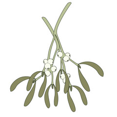 A simple illustration of mistletoe with green leaves and white berries, symbolizing love and peace, perfect for holiday themes and decorations.