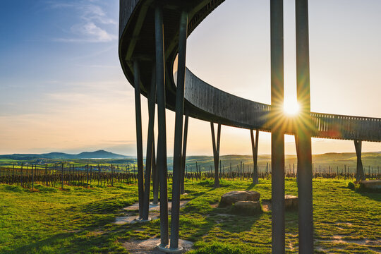 Scenic sunset view of the curved wooden Walk Above Vineyards observation tower in Kobyli with Palava hills on the horizon.