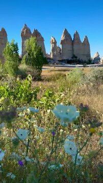 Fairy Chimneys of Love Valley and Wildflowers (Goreme, Cappadocia, Turkey)
