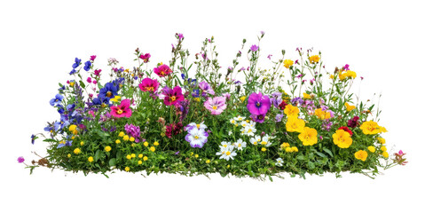 Obraz premium PNG Colorful flower bush flowers colorful colorful flowers.