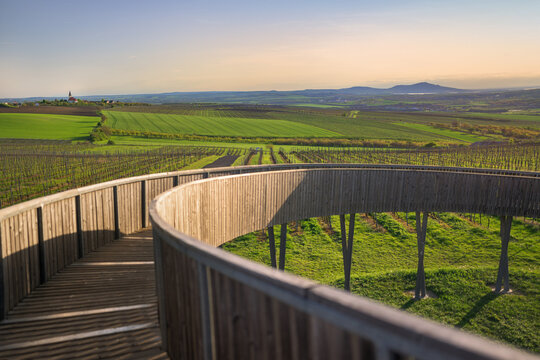 Panoramic view from Walk Above Vineyards in Kobyli with wooden walkway, Vrbice village church, and Palava hills on the horizon at sunset.