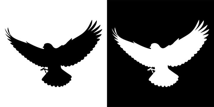 Silhouette of a bird in flight with wings spread wide.