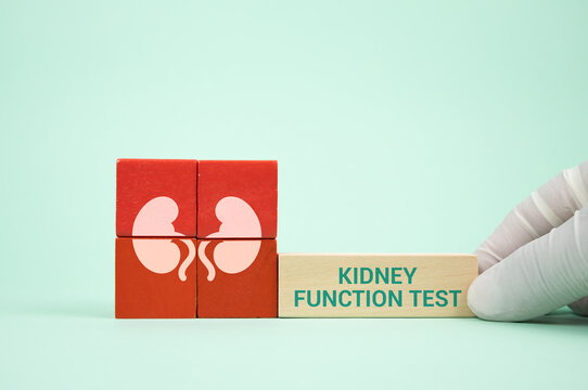 Kidney health and prevention of kidney disease. The nephrologist's hand arranges wooden cubes with a kidney icon. Kindey function tests