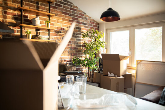 Sunlit apartment kitchen with moving boxes and glassware