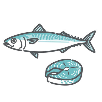 鯖（サバ）のイラスト（DHA・EPA/青魚/オメガ3）