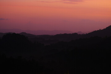 Obraz premium Beautiful gradient of misty fog forest at Pahang, Malaysia