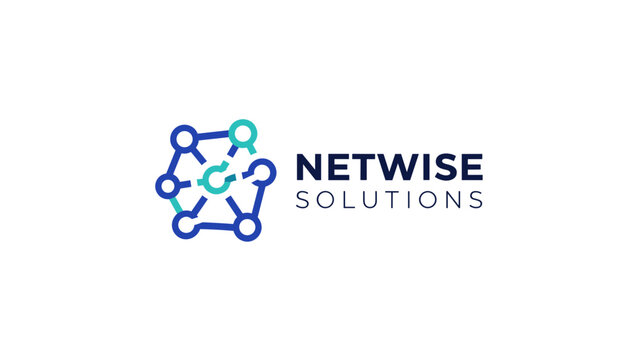 Netwise Solutions Company Logo Design Element.