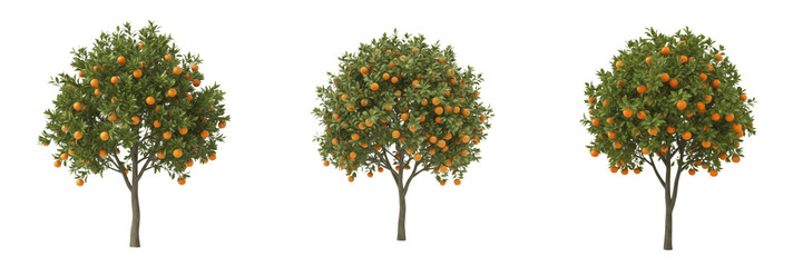 Collection of Fresh Orange Trees with Ripe Fruit Isolated Set
