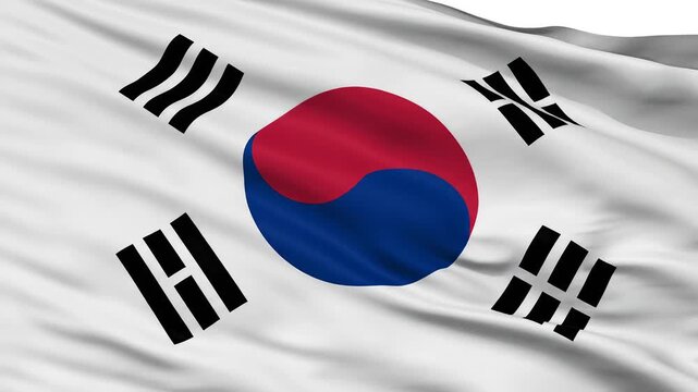 South Korean flag waving