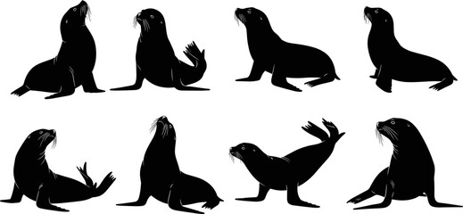 Fototapeta premium Set of sea lion silhouettes in various resting and active poses, black marine mammal figures isolated on white background for wildlife, ocean nature, and coastal design projects
