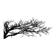 Obraz premium Black silhouette of bare tree branch