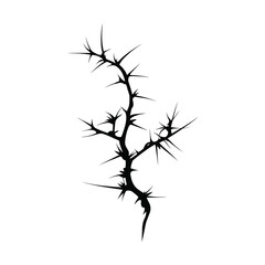 Obraz premium Black thorn branch silhouette on white background