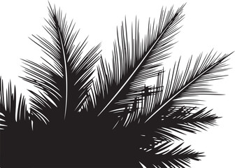 Naklejka premium Black Silhouette of Palm Tree Leaves on White Background