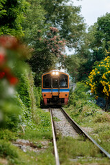 Vibrant train approaching through lush greenery in Bangkok, Thailand during a serene journey