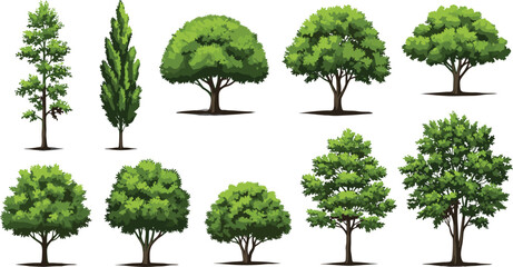 Set of realistic green trees isolated on white background vector collection for landscape garden park game environment design